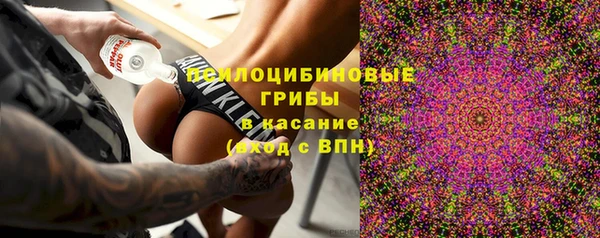 кокс Алзамай