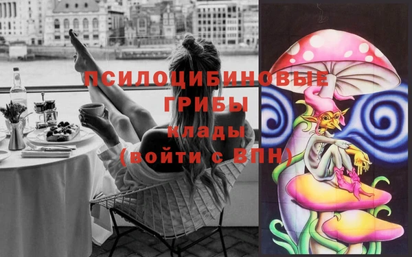 героин Алексин