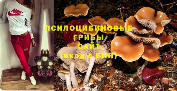кокс Алзамай