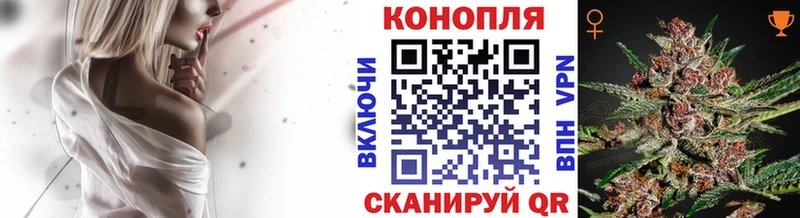 Бошки Шишки ГИДРОПОН  продажа наркотиков  Кизел 